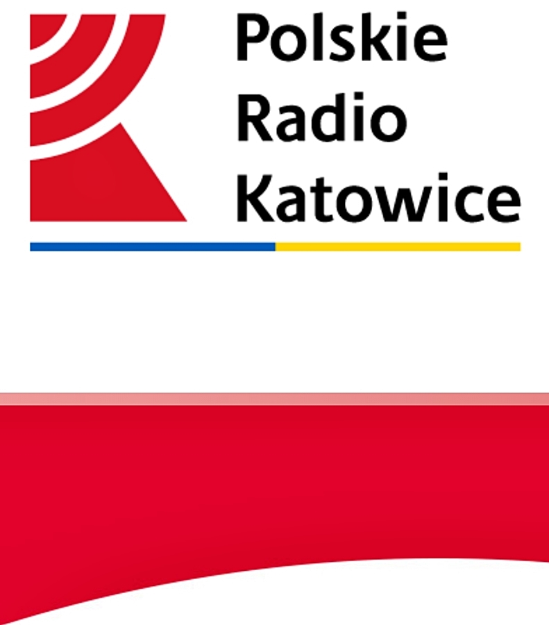 Hokej pod wodą Siemianowice Walenie w PR Katowice